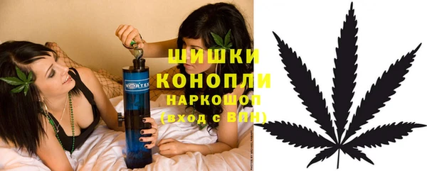 дмт Богородицк