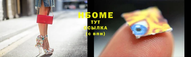 PSILOCYBIN Верея