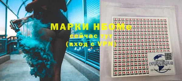 дмт Богородицк
