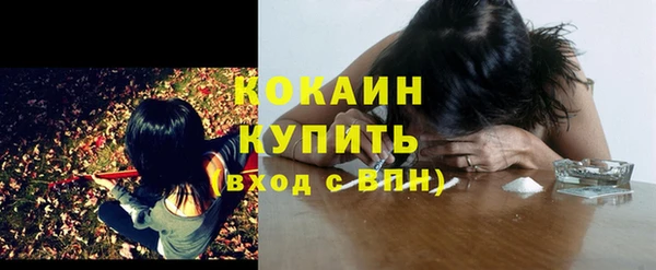 дмт Богородицк