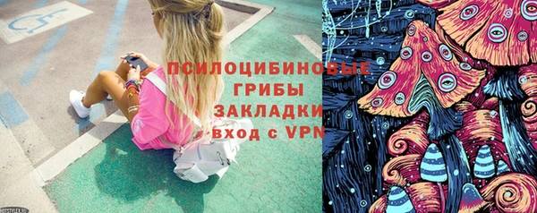 дмт Богородицк