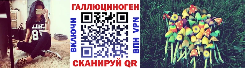 Псилоцибиновые грибы Psilocybine cubensis  Ефремов 